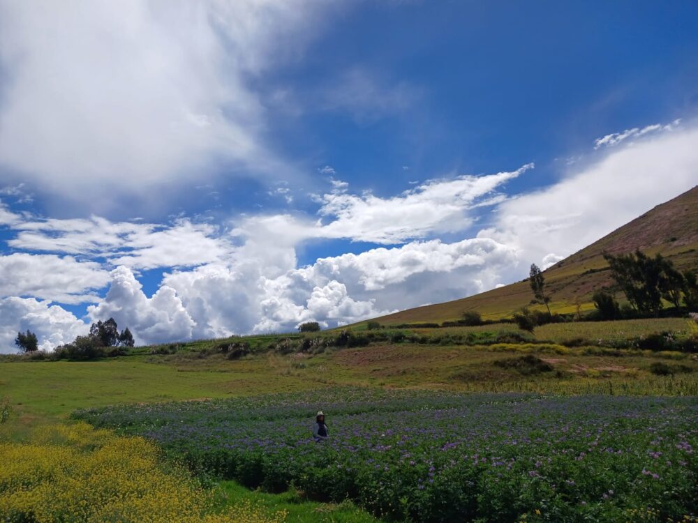 Terreno de 4 hectáreas en Molino Huaycco