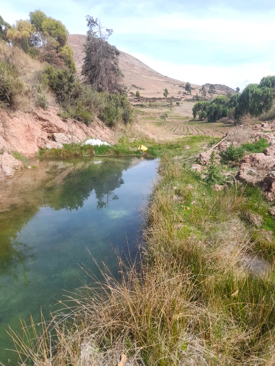 Terreno de 4 hectareas en Molino Huaycco Cusco